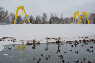 Scenic view of snow covered landscape