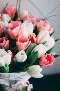 Close-up of pink roses