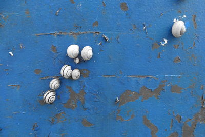 Full frame shot of weathered door