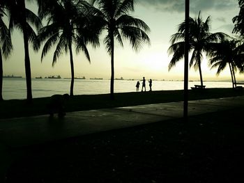 Silhouette coconut palm trees at sea shore against sky at dusk