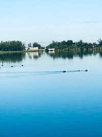 Scenic view of lake against clear sky