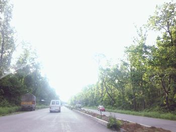 Road passing through trees