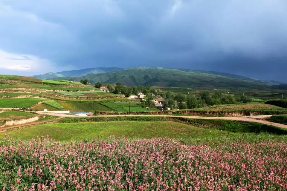 SCENIC VIEW OF RICE FIELD AGAINST STORM CLOUDS