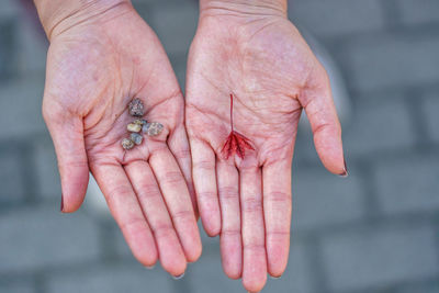 Close-up of person holding hands