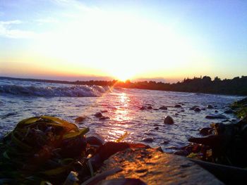 Scenic view of sea at sunset