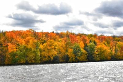 Scenic view of lake amidst trees against sky