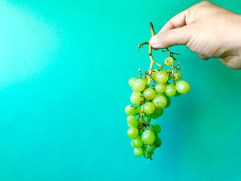 Close-up of hand holding fruit against white background