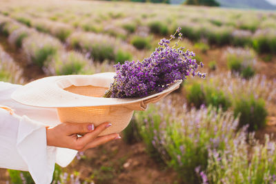 Midsection of woman holding purple flower in sun hat