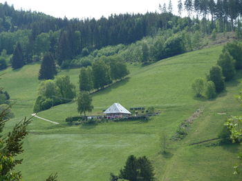 Scenic view of trees and houses on field