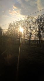 Trees on field against sky during sunset