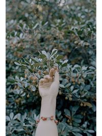 Close-up of hand holding berry fruit at garden