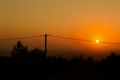 Silhouette plants against orange sky during sunset