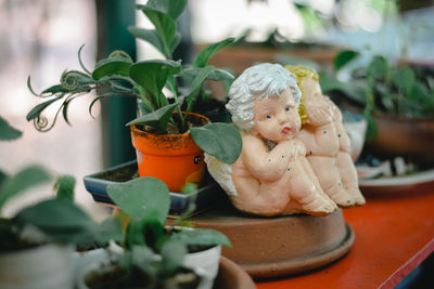 Close-up of stuffed toy on potted plant
