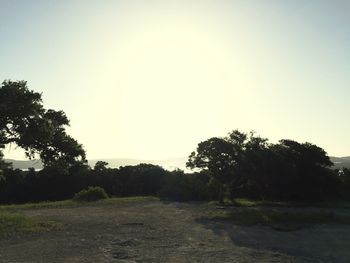 Dirt road passing through field