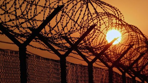 Barbed wire at sunset