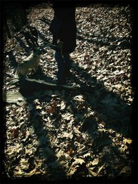 Close-up of woman in bikini