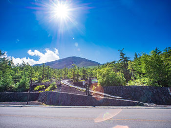 Road by trees against blue sky on sunny day