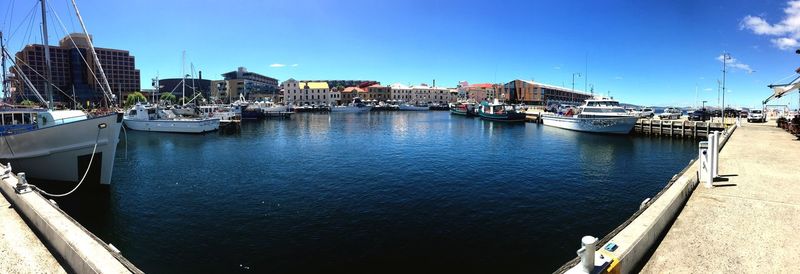 Sailboats moored in harbor