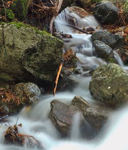 Scenic view of waterfall in forest