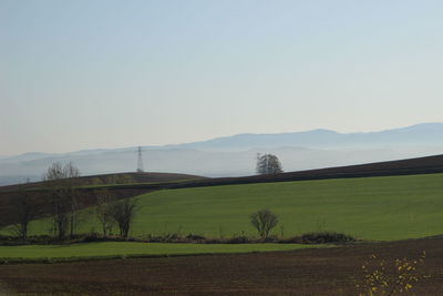 Scenic view of field against sky