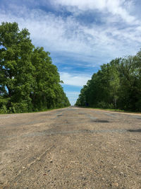 Surface level of road along trees