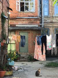 Clothes drying against building