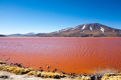 Scenic view of desert against clear blue sky