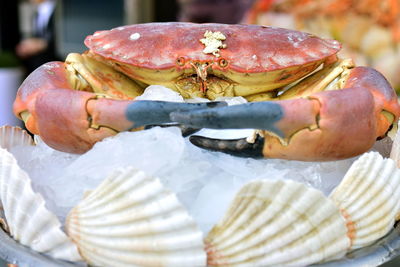 Close-up of crab for sale at market