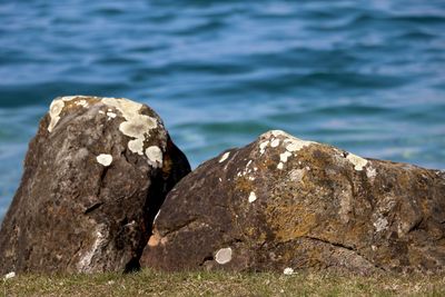 Close-up of rocks by sea