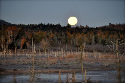 Scenic view of moon against clear sky at night