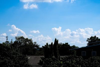 Trees and buildings against sky