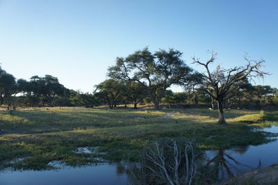 Scenic view of lake against clear sky