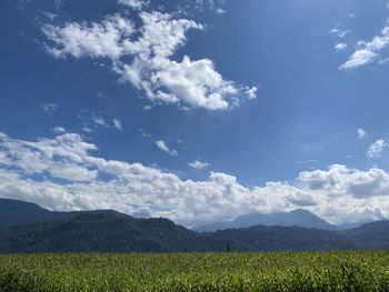 Scenic view of field against sky