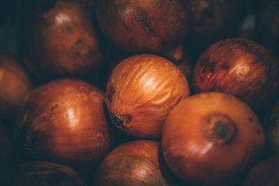 Close-up of oranges