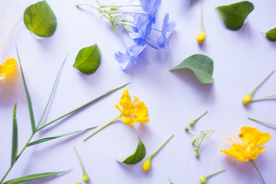 Close-up of flowers