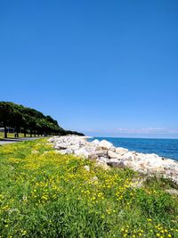 Scenic view of sea against clear blue sky