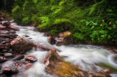 Stream flowing through rocks in forest