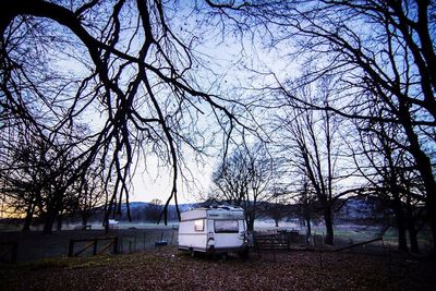 Bare trees against sky