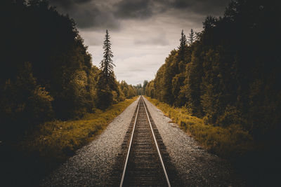 Railroad to denali national park, alaska