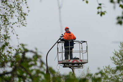 Low angle view of man sitting on red tree