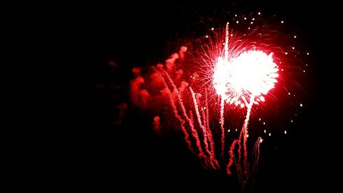 Low angle view of firework display at night