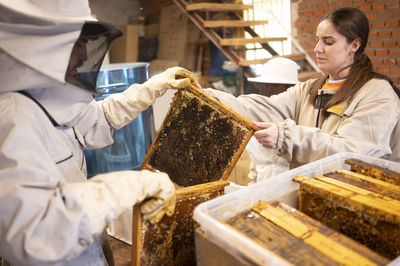 Male and female beekeepers working with beehives in shed