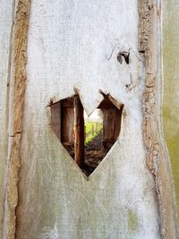 Close-up of window on wall of building