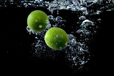 Close-up of water drops on black background