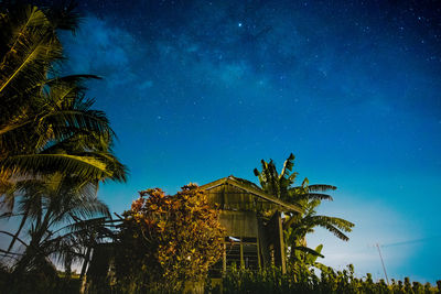 Low angle view of palm trees and building against sky