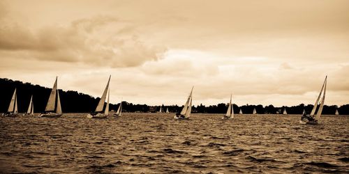 Sailboats sailing on sea against sky