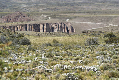 Scenic view of patagonia landscape