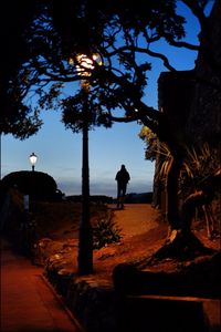 Rear view of silhouette man standing by tree against sky at sunset