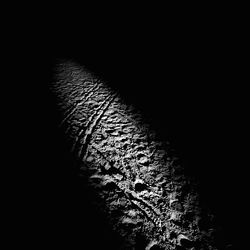 Close-up of rock at night