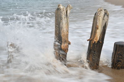 Wooden posts in sea